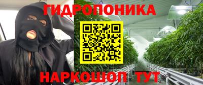 шишки Бузулук