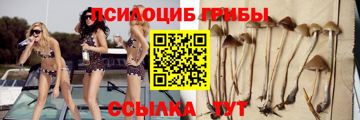 Калач-на-Дону  Галлюциногенные грибы GOLDEN TEACHER  Вход с VPN 